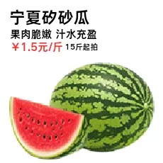 宁夏矽砂瓜